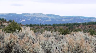 Tierra Amarilla Chama River Estates - 4 adj lots - 2.2 acres