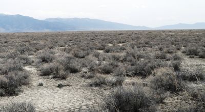 2 adjoining 80 acre parcels * Dolly Varden