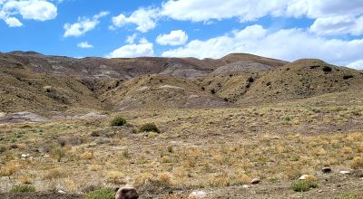 Rugged 200 acres - Graded Dirt Roads
