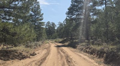 New Mexico Forested Mountain land - Borders Santa Fe National Forest & BLM Lands