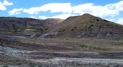 Rugged 200 acres - Graded Dirt Roads