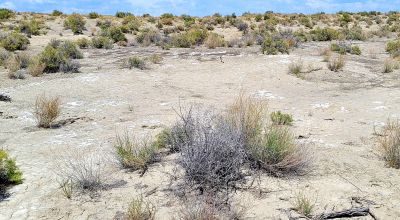 1 Full Section of  Nevada Desert & SAND HILLS  *  1 mile by 1 mile *