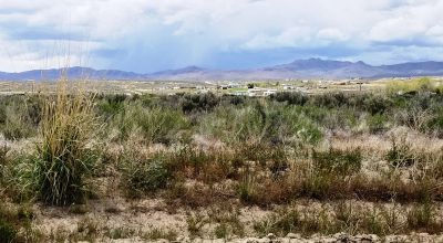 Great Location with easy access to IH 80  * East of Elko  * Old Shack