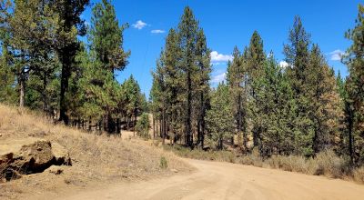Heavily Treed - Power - Backs to Large Open Ranch