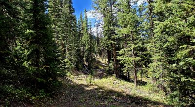 Ouray Colorado -  Red Mountain Mining District- 10 Acres Treed Mountain land