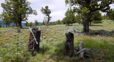 20 acres Oregon Forested Mountain land  near Lakeview & Drews Gap Summit