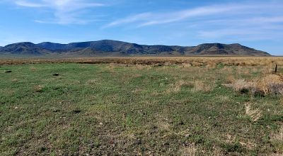 30 acres East of Manassa Colorado - No restrictions