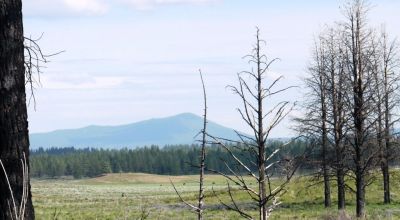REDUCED * 2 adjoining lots Klamath County Oregon * burned in Fire several years ago.