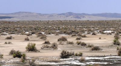 Classic Nevada Desert - Just off Hwy 95
