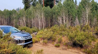 Private 481 acres - 3 sides Winema National Forest - Cooks Canyon - Pines Aspens Spruce Firs