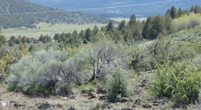 Wide Open Views on Tableland Mesa * corner lot