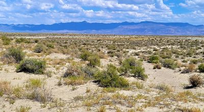 1 Full Section of  Nevada Desert & SAND HILLS  *  1 mile by 1 mile *