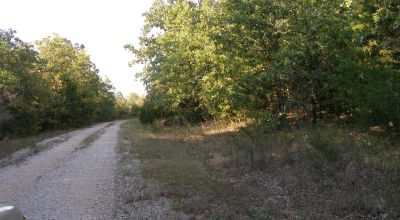 Trees * Utilities at road *  Lot in Cherokee Village