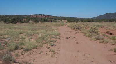 Scenic Views - Ranch of the Golden Horse - East of Snowflake Arizona
