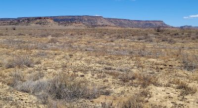 Ambrosia Lake area - 4 adjoining 1 acre parcels - Camp RV Build RV - Scenic desert views