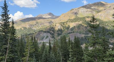 Ouray Colorado -  Red Mountain Mining District- 10 Acres Treed Mountain land