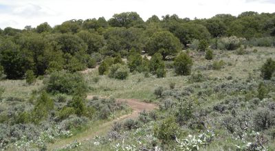 Cove Acres - 3 adjoining 1/2 acre parcels - 6 miles from Roosevelt