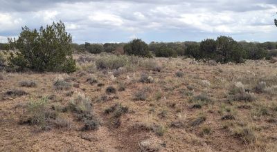 30 acre Central New Mexico Property Windmill Ranch Excellent Roads. Power at Road