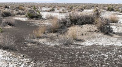 Classic Nevada Desert - Just off Hwy 95