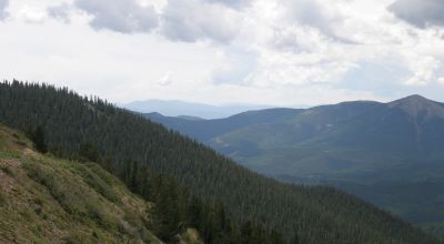 Pristine Mountain Land * Patented Mining Claim near Bonanza Colorado