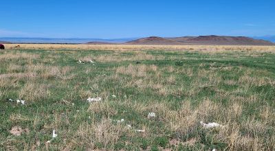 30 acres East of Manassa Colorado - No restrictions