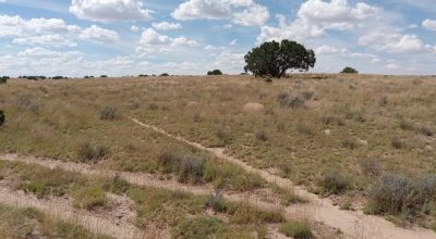 Hidden Jewel! 1.02-Acre Residential Land in AZ $99/Mo.