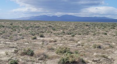 Historic Flanigan Nevada Townsite Adjoins RR - 8.5 acres - No Restrictions