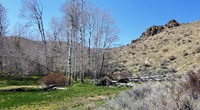 Historic Leadville Mines - 8 Patented Mining Claims Totally surrounded by Government lands