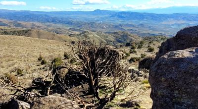 Mountain Land South of Pyramid Lake - Rock Outcroppings - Views Overlooking Palomino Valley
