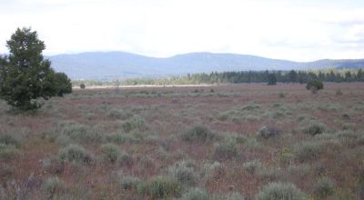 Scenic Oregon 160 acres wide open spaces