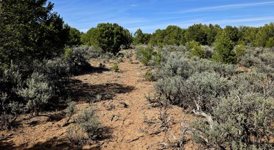 1 Acre Taos Tres Piedras New Mexico - Camp RV Build No restrictions