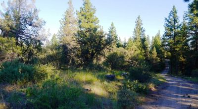 Adjoins Forest Service lands  3 treed lots * 2 together & 1 lot separted by a lot. Buy 1 or 2