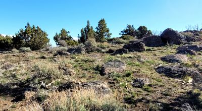 Mountain Land South of Pyramid Lake - Rock Outcroppings - Views Overlooking Palomino Valley