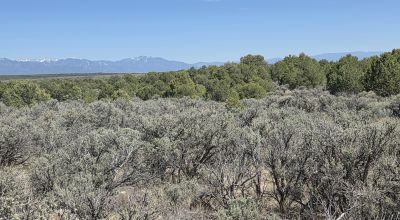 Taos County - Tres Piedras New Mexico 1 acre CAMP, RV, BUILD