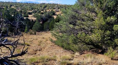 Treed Parcel - Arroyo at Back Property Line - Views - Near 2 Lakes