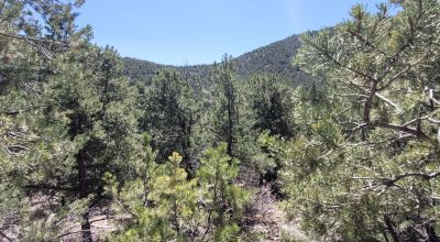 Santa Fe County New Mexico 5 acres in the Mountains - Seasonal Creeks