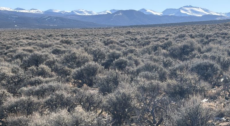 Build Here. Come Back Forever. 5 Acres. $170/Mo