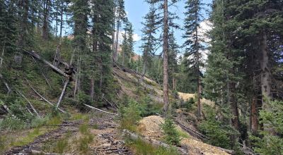Ouray Colorado -  Red Mountain Mining District- 10 Acres Treed Mountain land