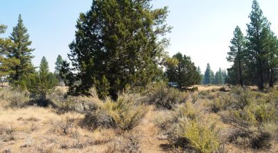 Southern Oregon Sprague River - Trees - Power - Main Road Access