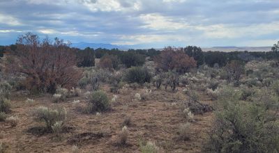 30 acre Central New Mexico Property Windmill Ranch Excellent Roads. Power at Road