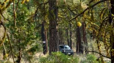 3 adjoining Lots - Trees Trees Trees - Quiet and Seclusion