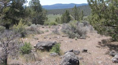 1 of a kind Parcel - On the Hill - Unobstructed Sprague River Views