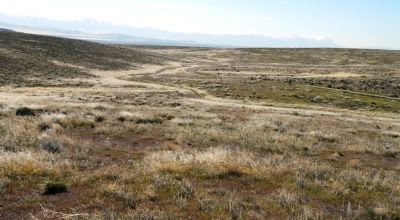 80 acres of Rolling Hills  only $49,000