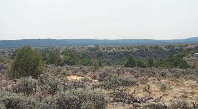 Off Grid Living in Taos County New Mexico - Corner Lot