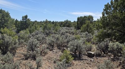Taos County - Tres Piedras New Mexico 1 acre CAMP, RV, BUILD