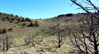 Mountain Land South of Pyramid Lake - Rock Outcroppings - Views Overlooking Palomino Valley