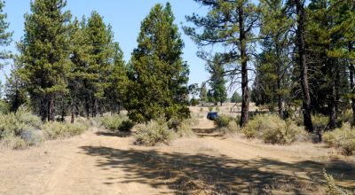 Southern Oregon Sprague River - Trees - Power - Main Road Access