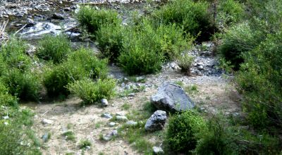 Scenic Pristine Colorado Mountain land - Henson Creek flows thru property