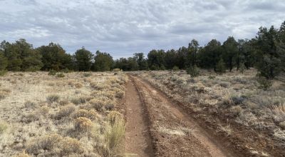 Rare! Bureau of Indian Affairs Inholding 40 acres - New Mexico