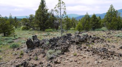 20 acres Oregon Forested Mountain land  near Lakeview & Drews Gap Summit